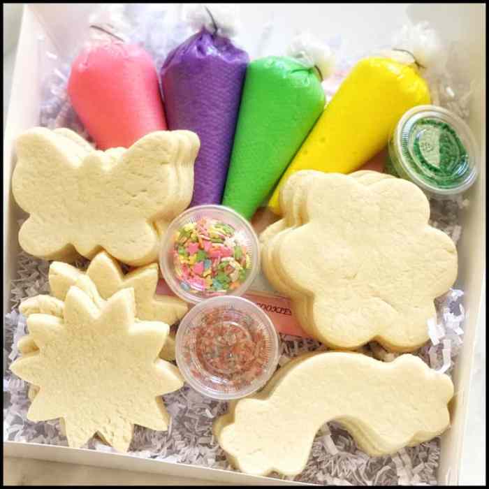 Cookie decorating kit diy