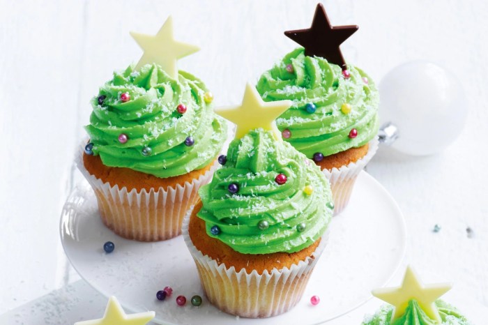 Christmas cupcake decorating kit