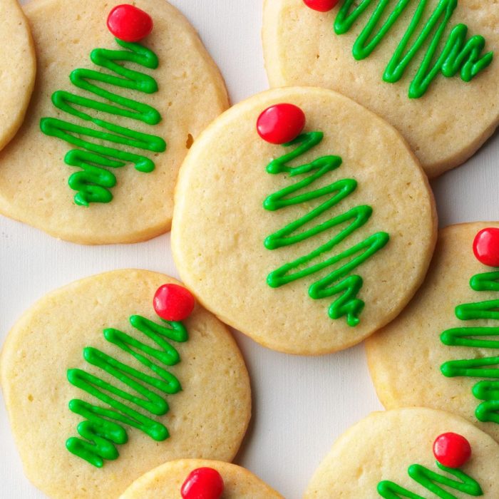 Christmas sugar cookie decorating kit