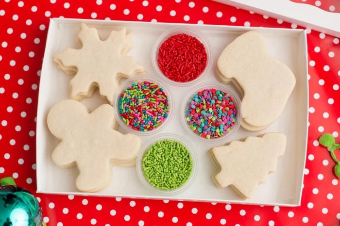 Christmas cookie decorating kit with cookies