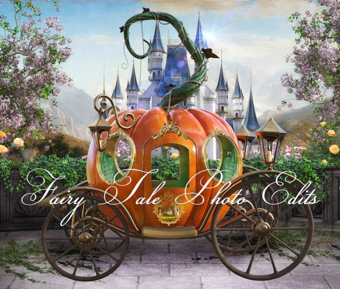 Cinderella carriage pumpkin decorating kit