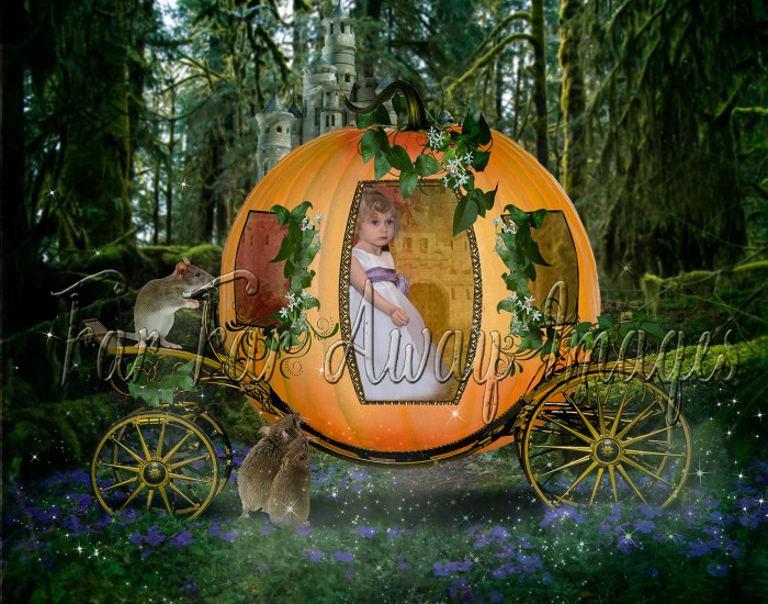 Carriage cinderella pumpkins lovethispic