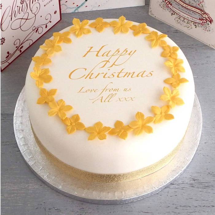 Christmas cake decorating kit