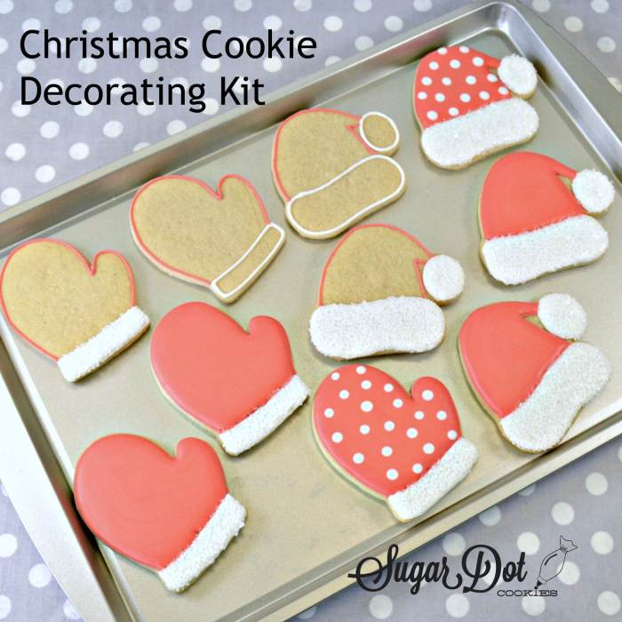 Cookie decorating icing kit